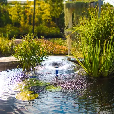 For pond biospheres.