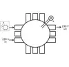 - Toepasbaar in holle plafondconstructies.
- Geschikt voor rachelplafonds en metalstudplafonds.
- Connectoren van Wago-Winsta RD
- Voorzien van 1x voeding (male zwart), 1x voeding lichtpunt (male wit), 1x lichtpunt op centraaldoosdeksel.